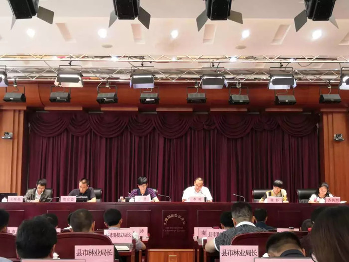 张勇,云南建投交建公司副总经理贺富会,云南省林业厅计财处主任鹿杉